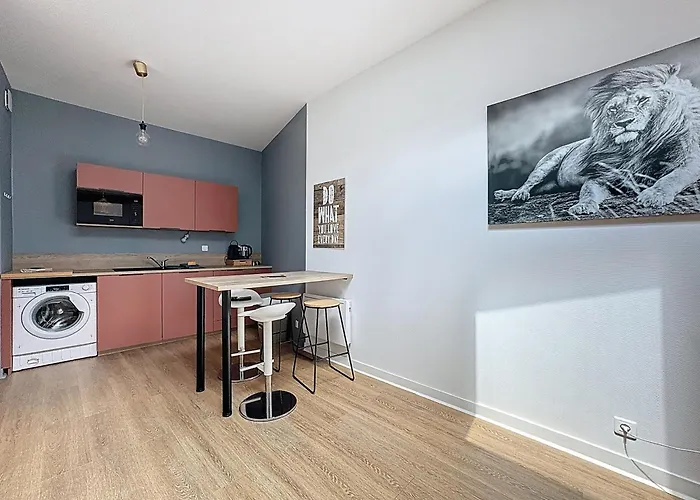 Tour D'auvergne - En Plein Centre Ville, Proche De La Cathedrale Et De La Place De Jaude 클레르몽페랑